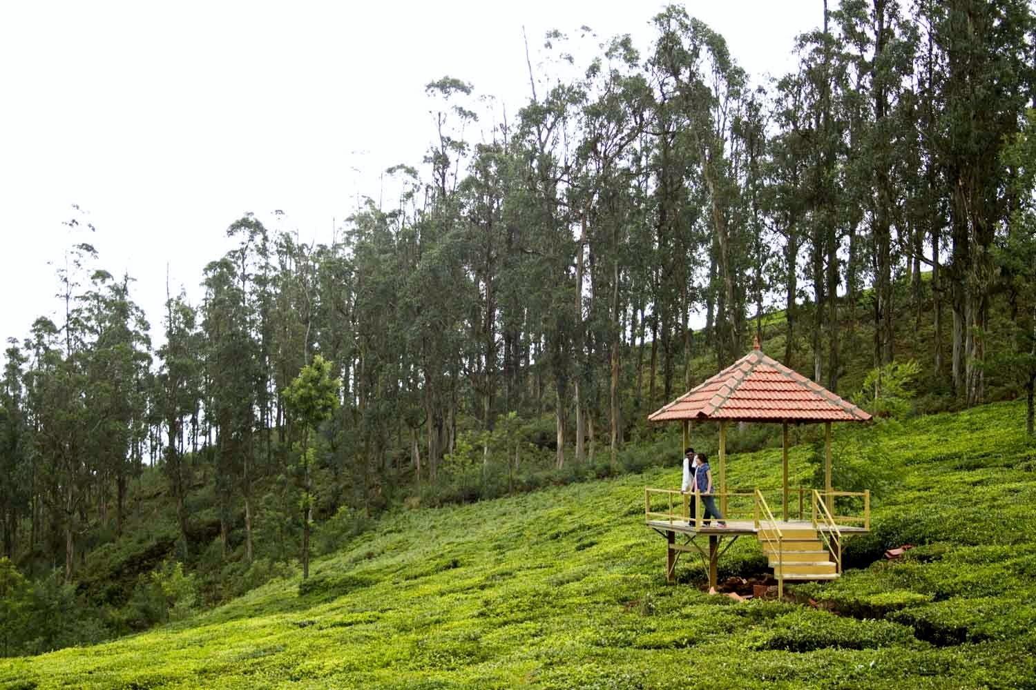 Green Nest Resort Ooty Kotagiri Buitenkant foto