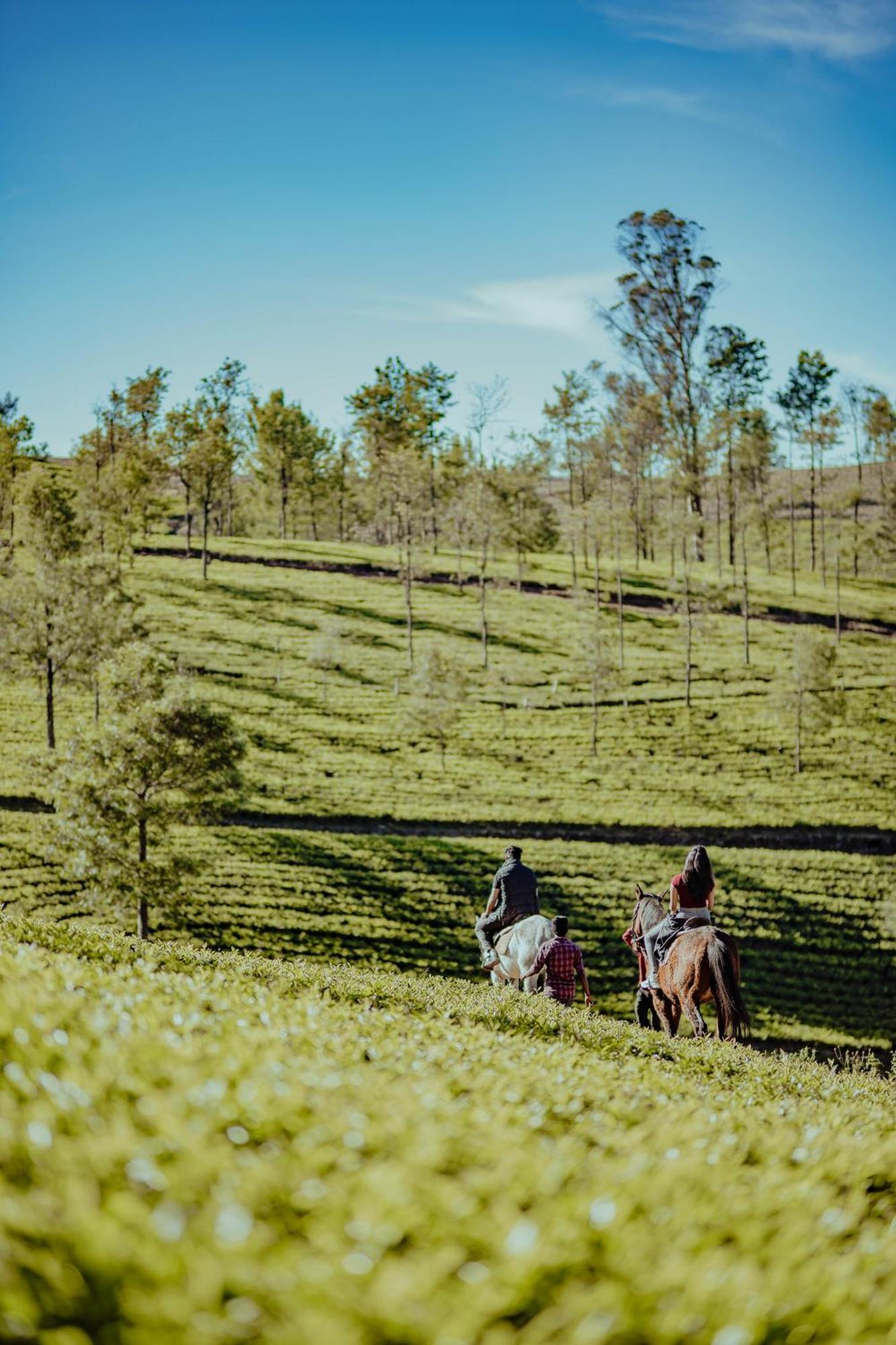 Green Nest Resort Ooty Kotagiri Buitenkant foto