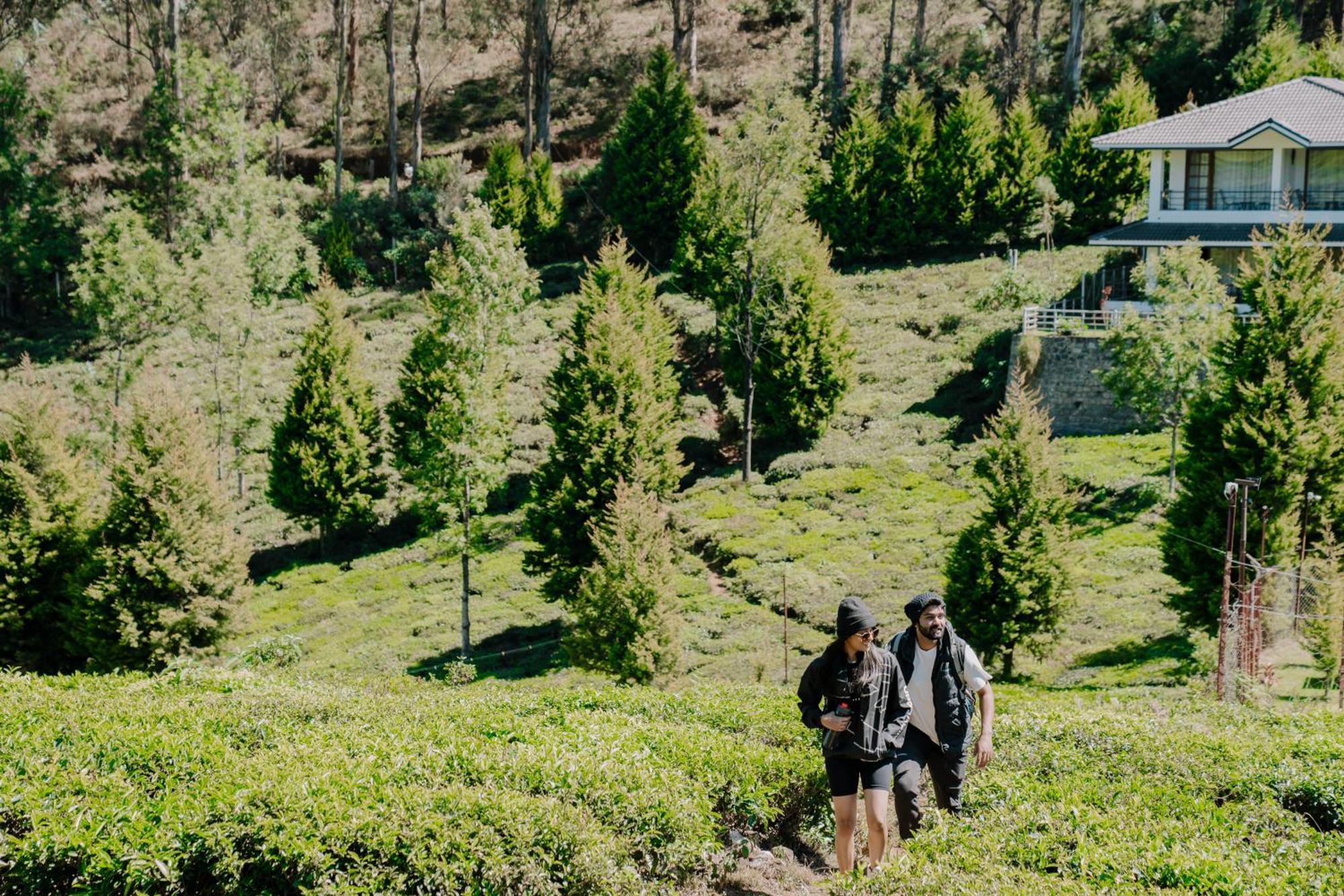 Green Nest Resort Ooty Kotagiri Buitenkant foto