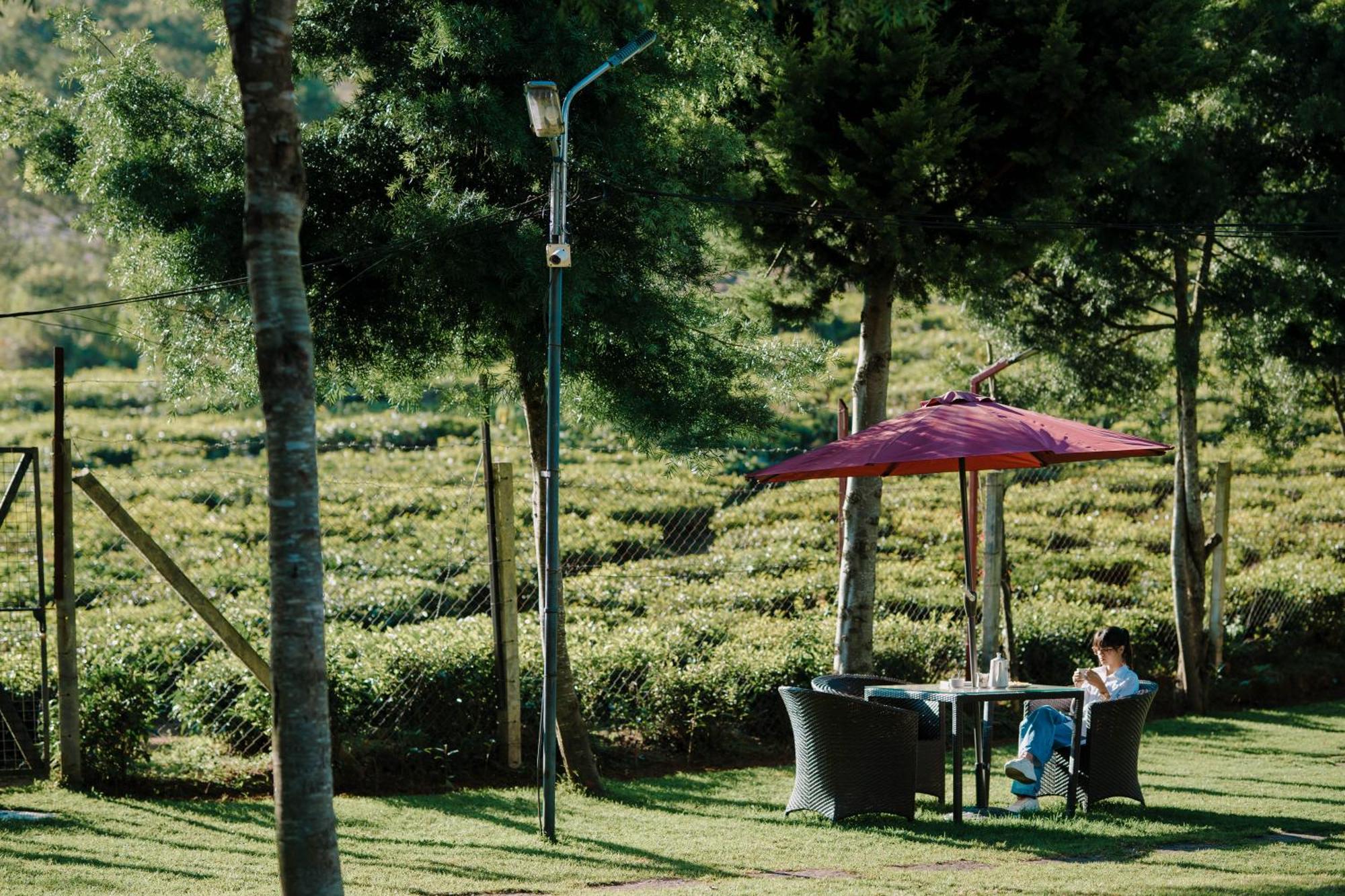 Green Nest Resort Ooty Kotagiri Buitenkant foto