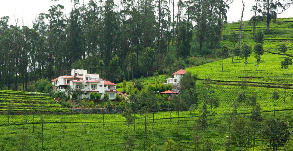 Green Nest Resort Ooty Kotagiri Buitenkant foto
