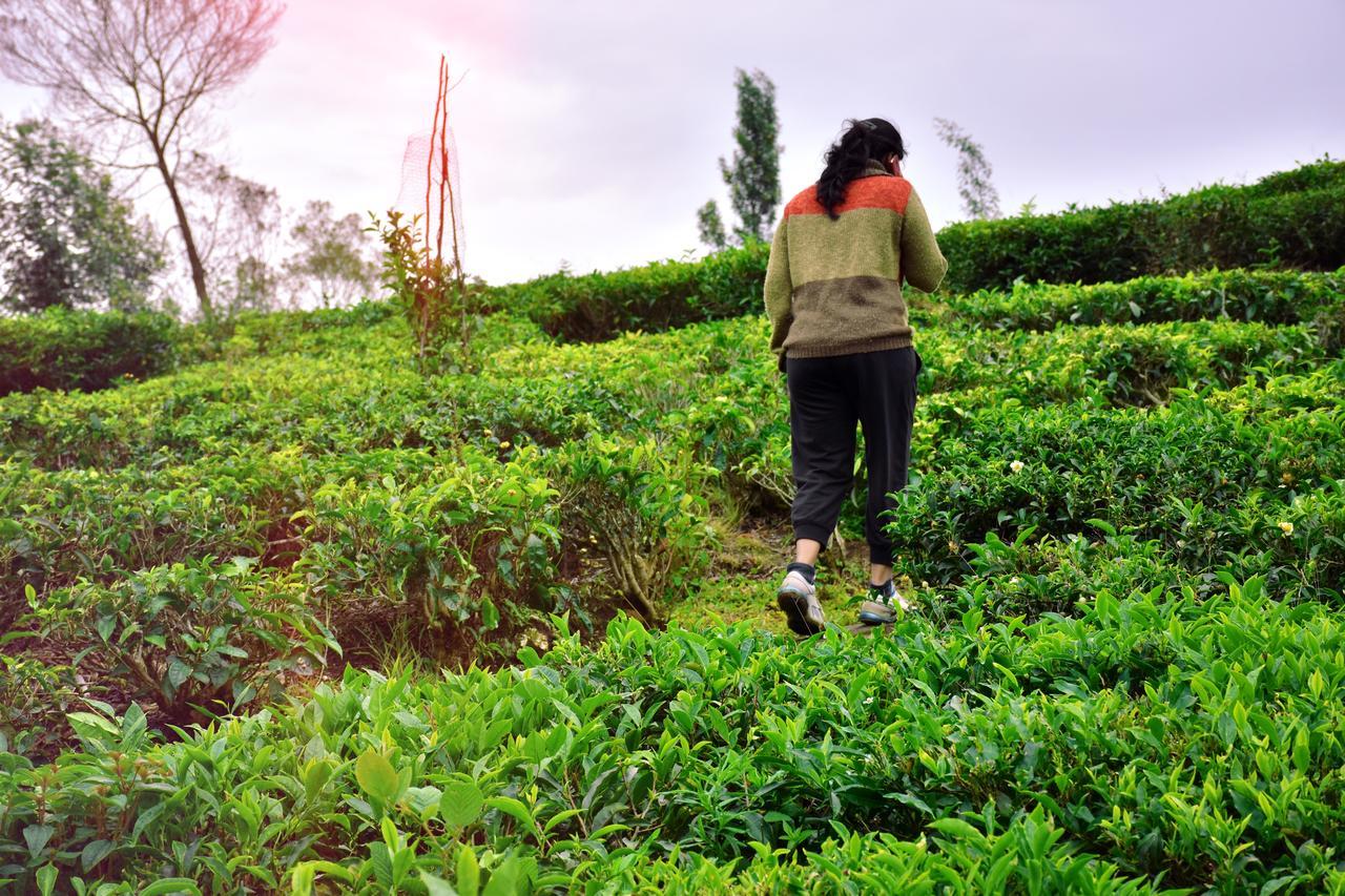 Green Nest Resort Ooty Kotagiri Buitenkant foto